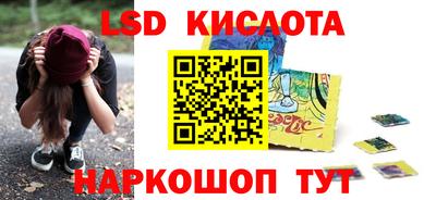 дмт Камышлов