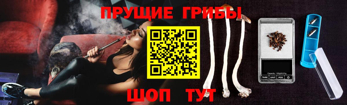 Псилоцибиновые грибы Psilocybe Красноярск